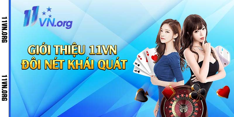 Giới thiệu 11vn đôi nét khái quát